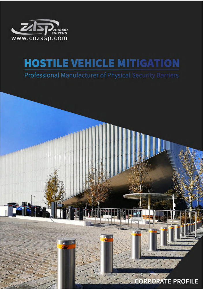 ZASP Company Profile - Simplified Version