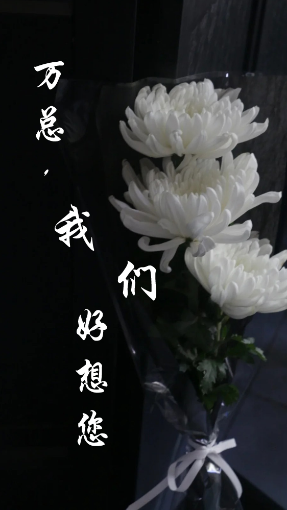 万总，我们好想您啊