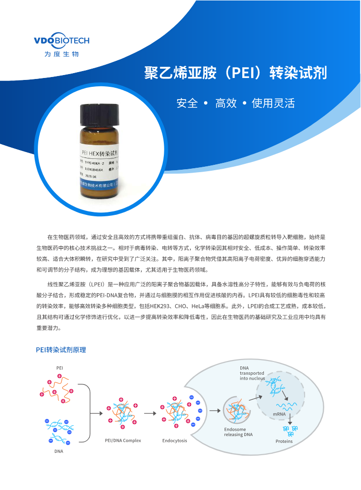 聚乙烯亚胺（PEI）转染试剂