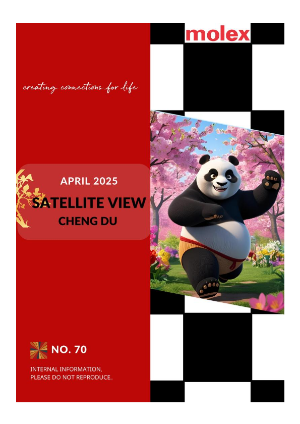 Satellite View Chengdu- NO. 71