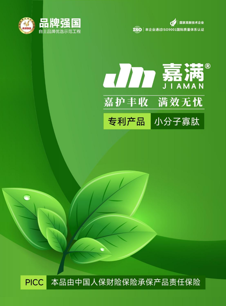 嘉满画册