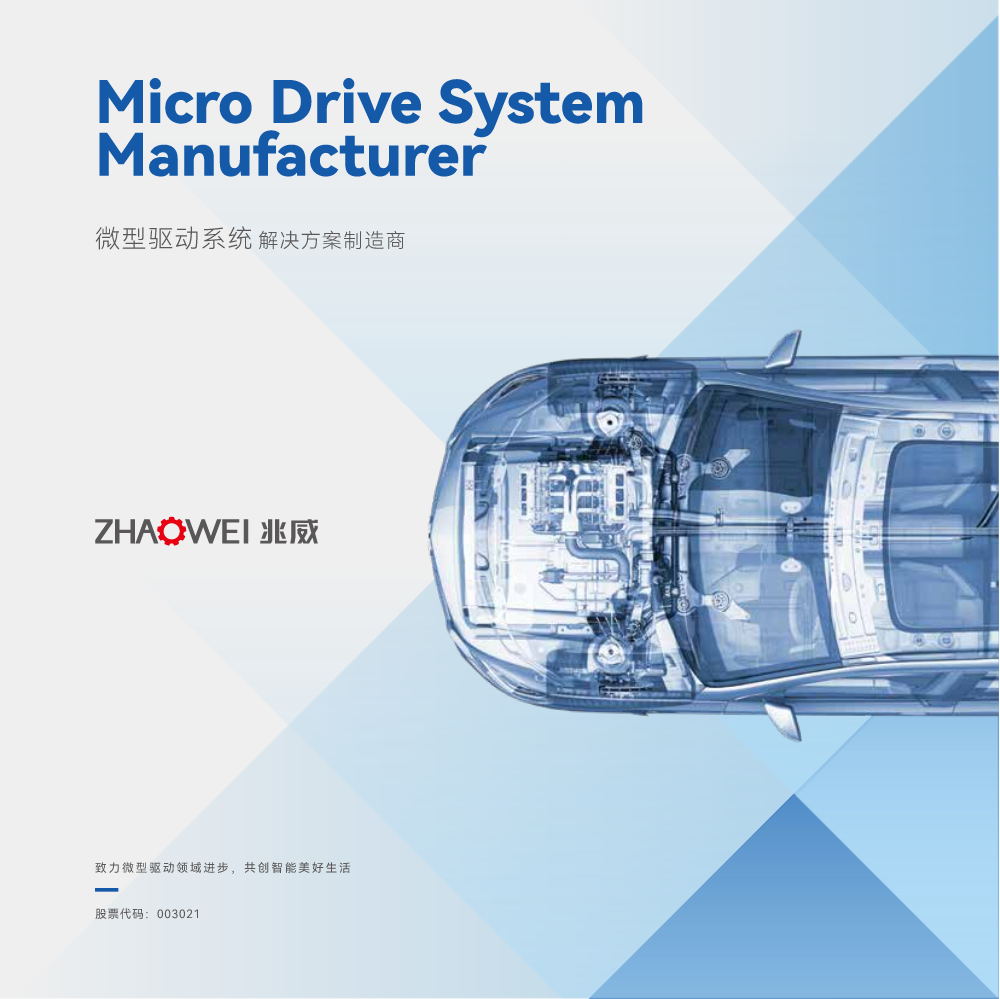 ZHAOWEI Smart Aumotive Product Brochure