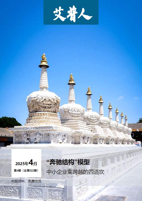 《艾普人》月刊2025年4期 总第022期_副本