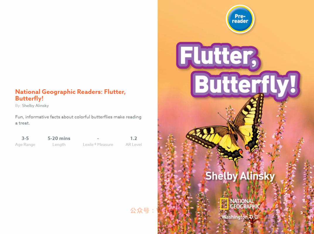 13-Flutter Butterfly