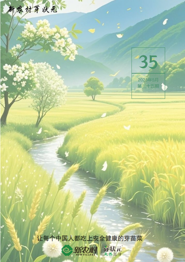 新农村芽状元2025年6月刊（总第三十六期）