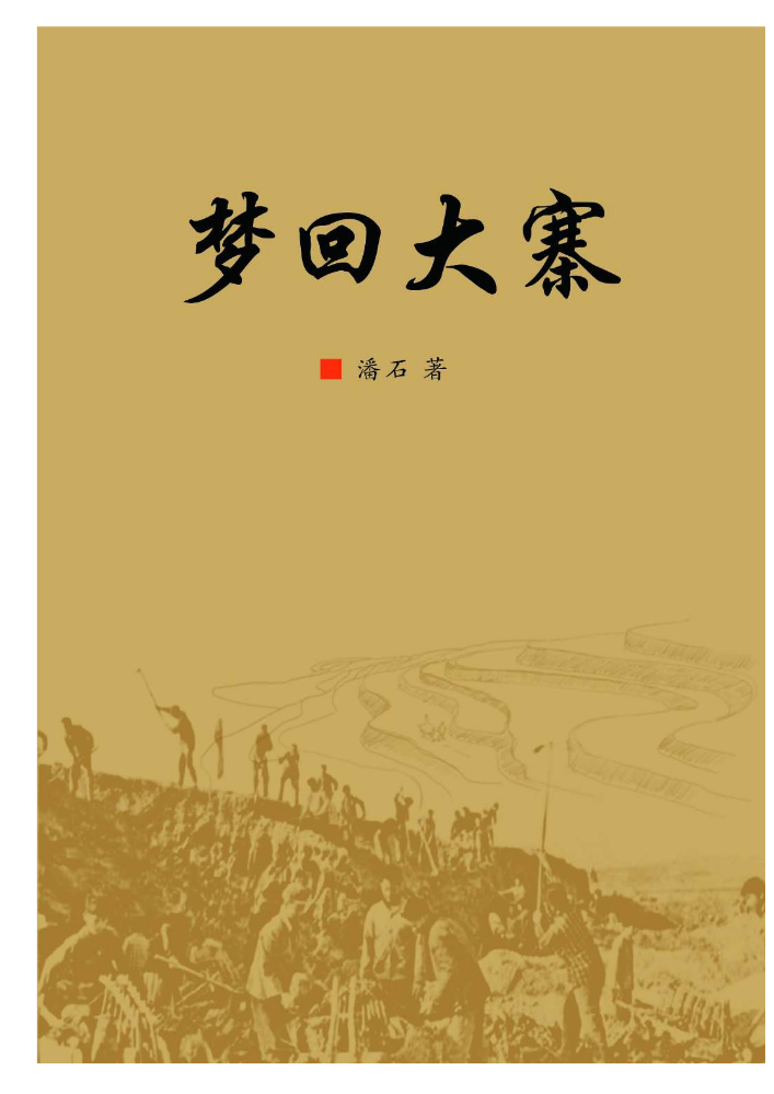 梦回大寨8