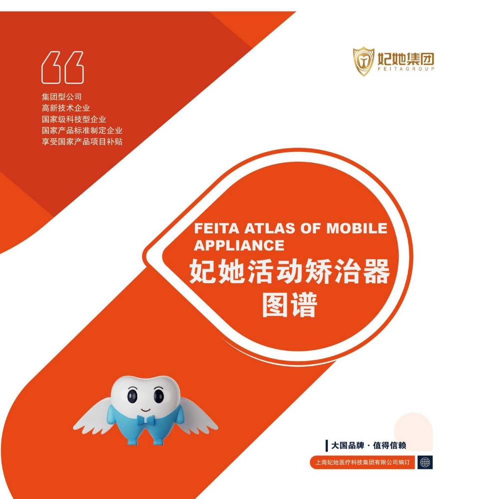 妃她集团活动图谱册