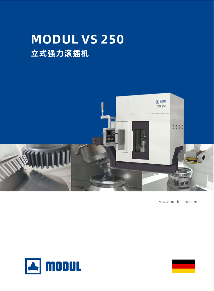 VS 250