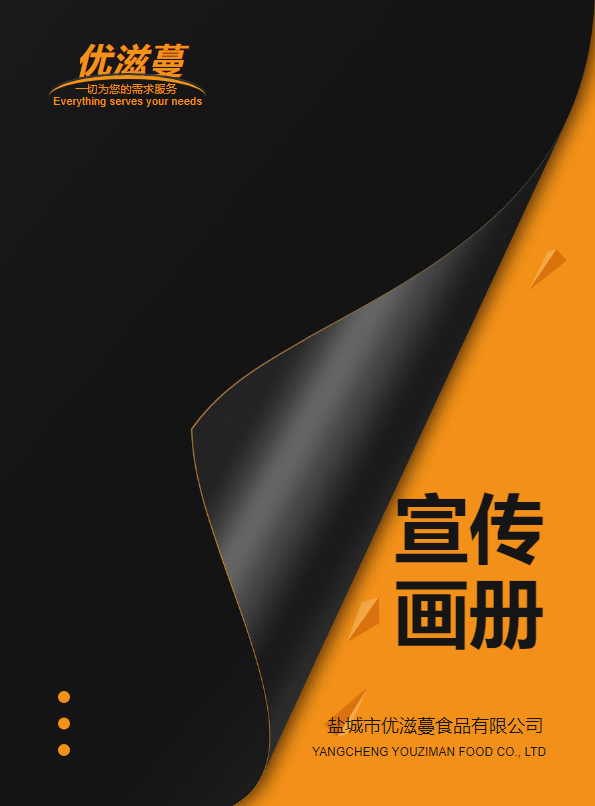 高端黑色装饰企业画册