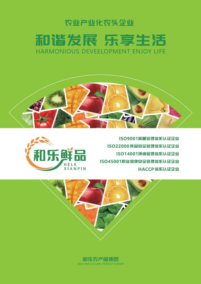 210×297mm 24P 和乐宣传册