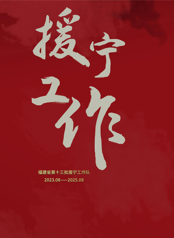 援宁工作 单页压缩后