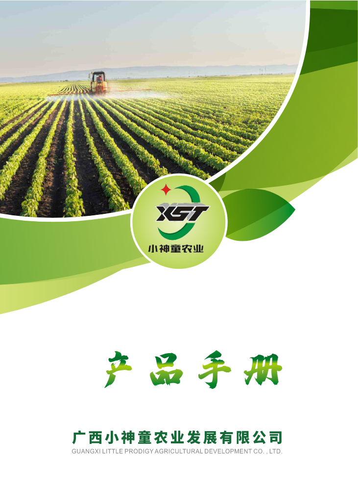 广西小神童2025年画册