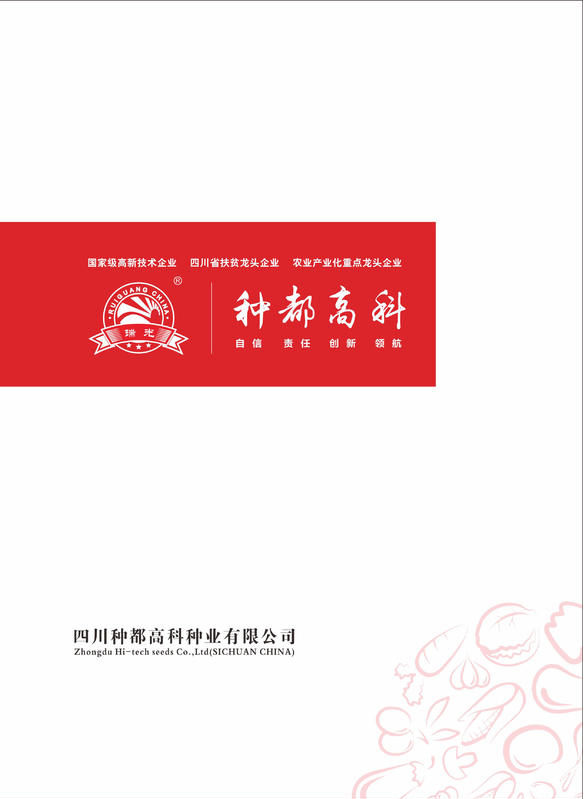 种都&瑞光画册文件