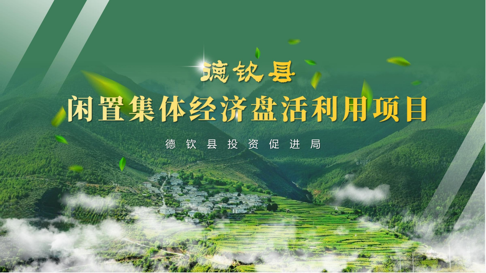德钦县闲置集体经济盘活利用项目