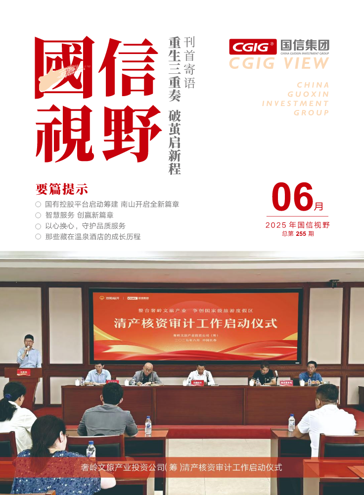 《国信视野》2025年06月号