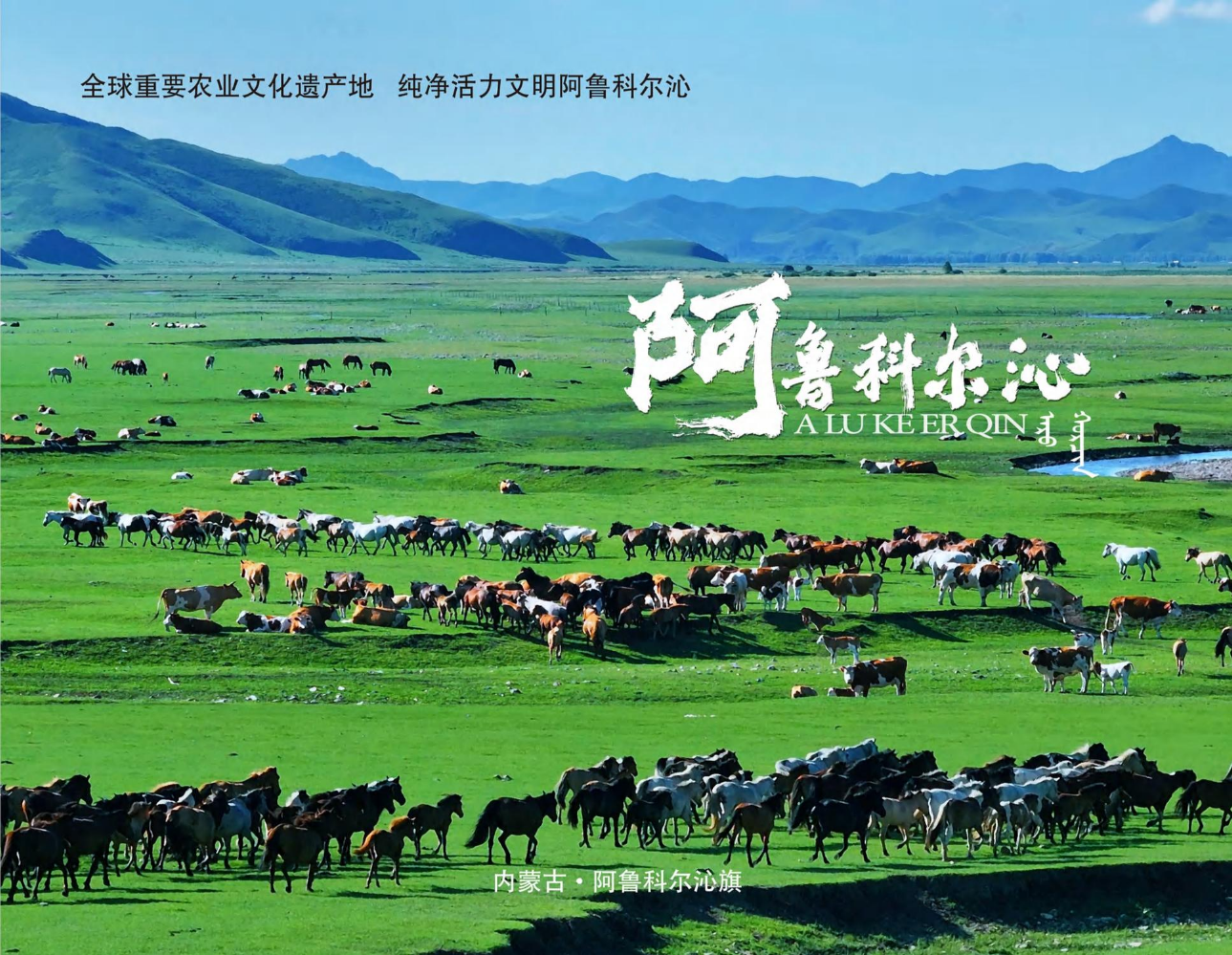 阿鲁科尔沁