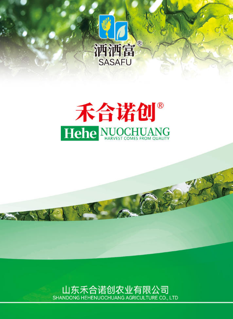 禾合诺创-丰收源于品质