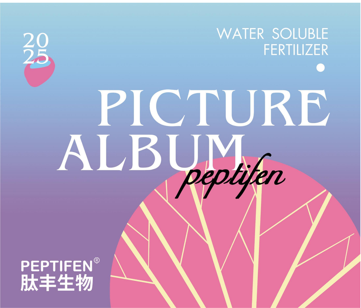 山东金城肽丰生物科技有限公司