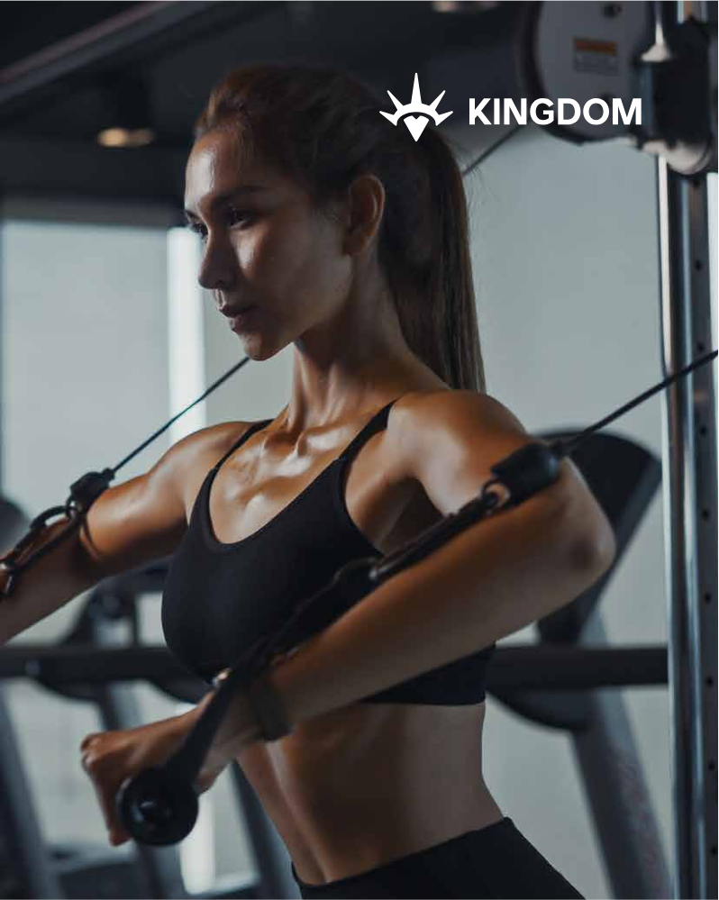 KINGDOM图册 20250822