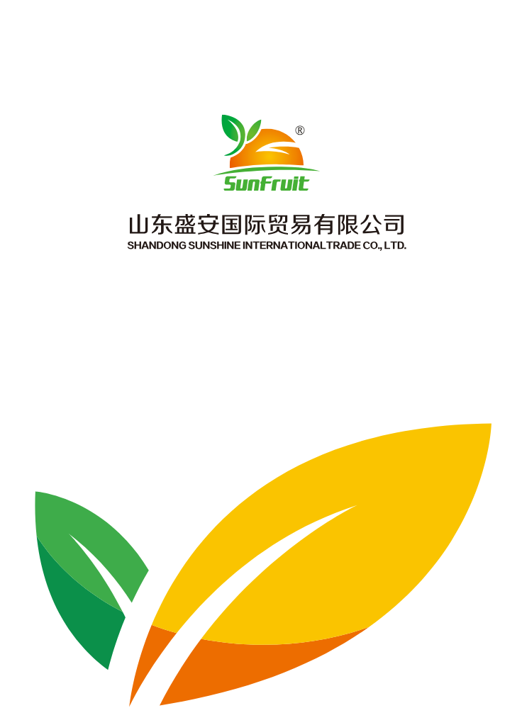 山东盛安国际贸易-电子画册