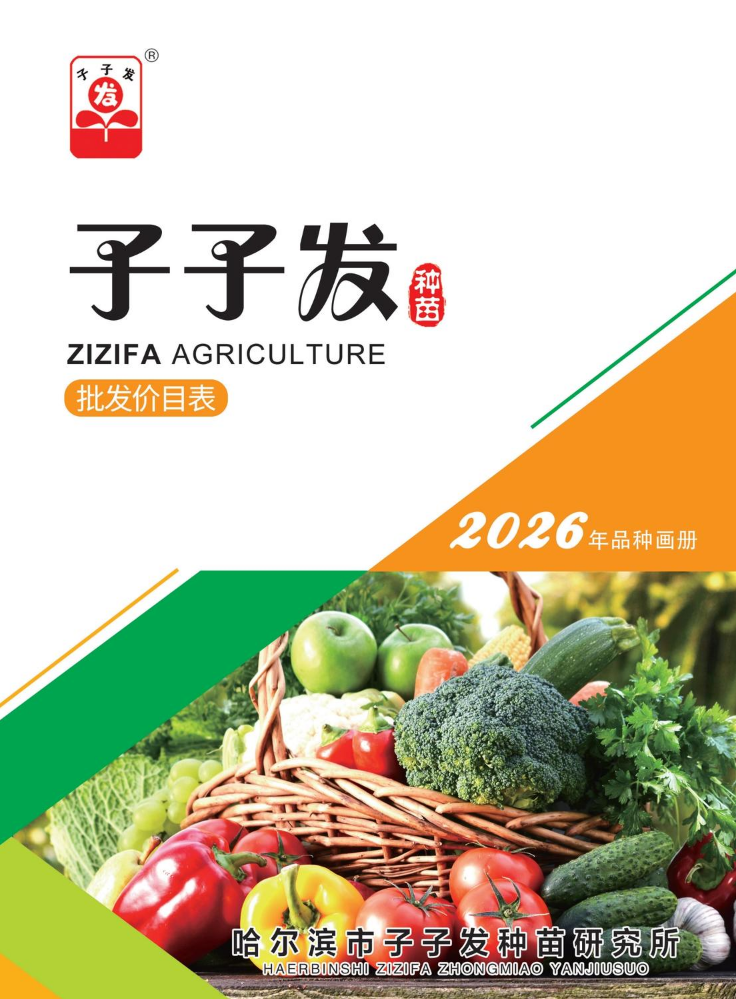 子子发电子画册