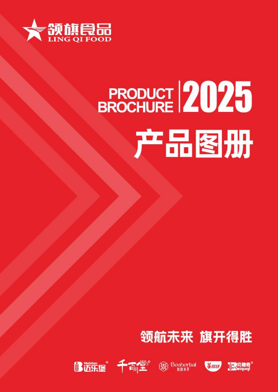 2025产品图册