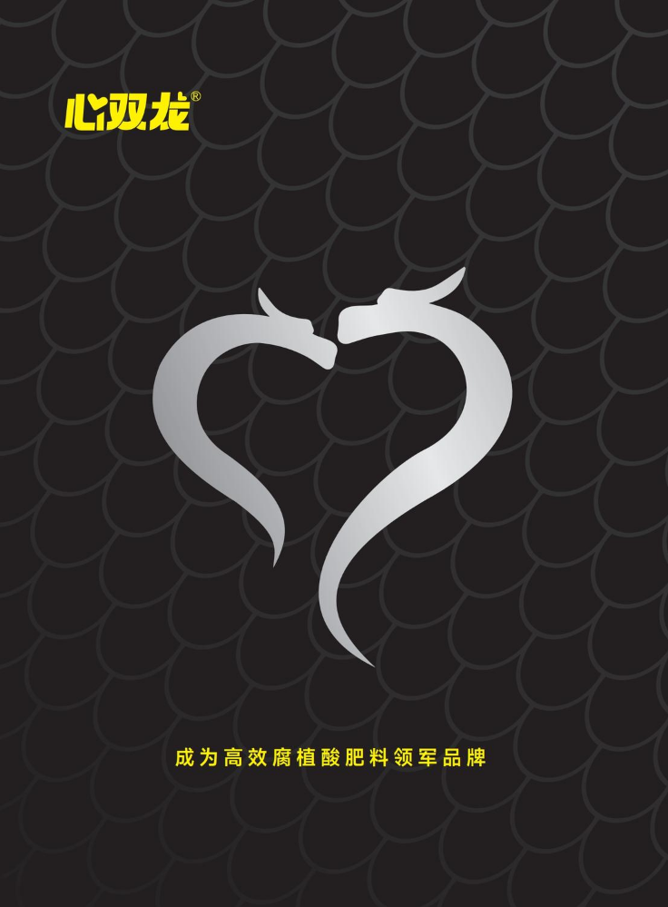 心双龙产品画册