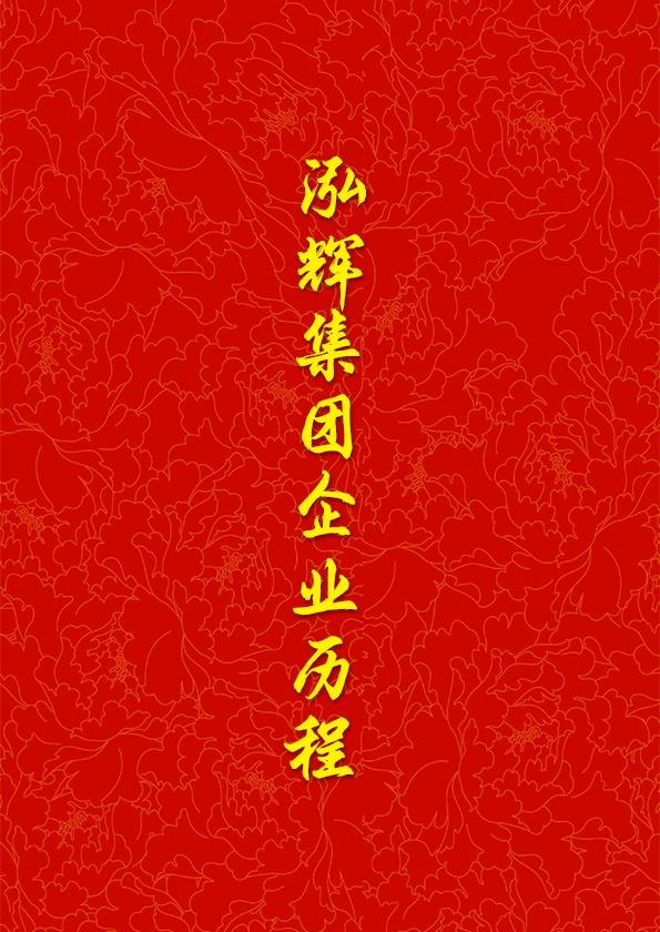 泓辉集团企业历程