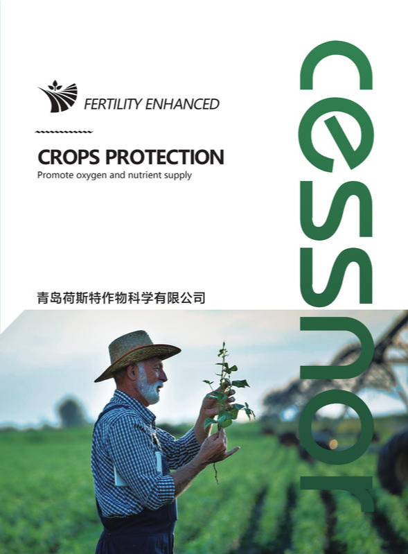 青岛荷斯特画册