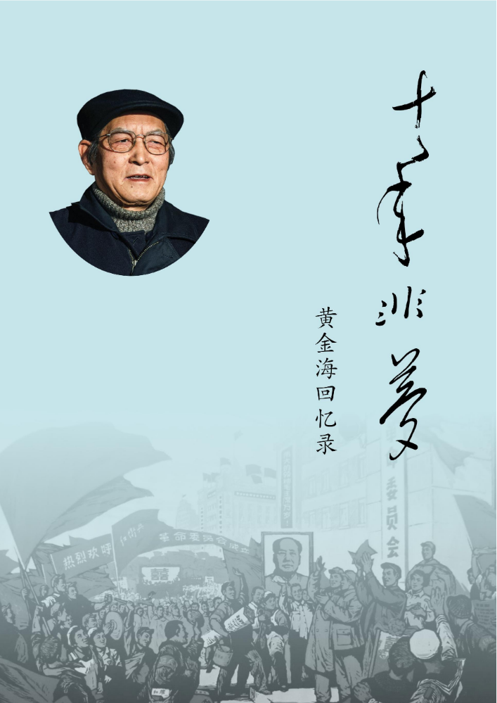 十年非梦——黄金海回忆录(黄金海等)(iSeeue)