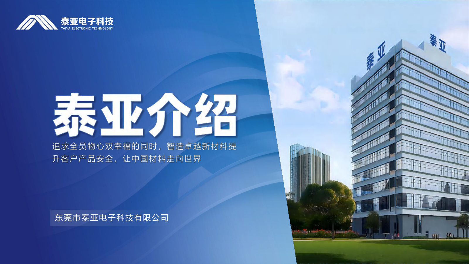 泰亚公司介绍-中文版-客户版-2025.11.18