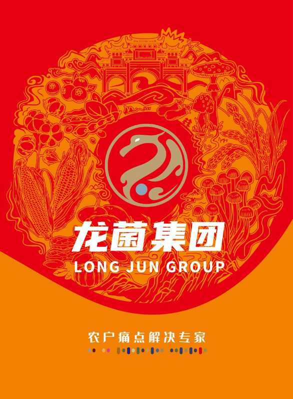 龙菌集团画册-红
