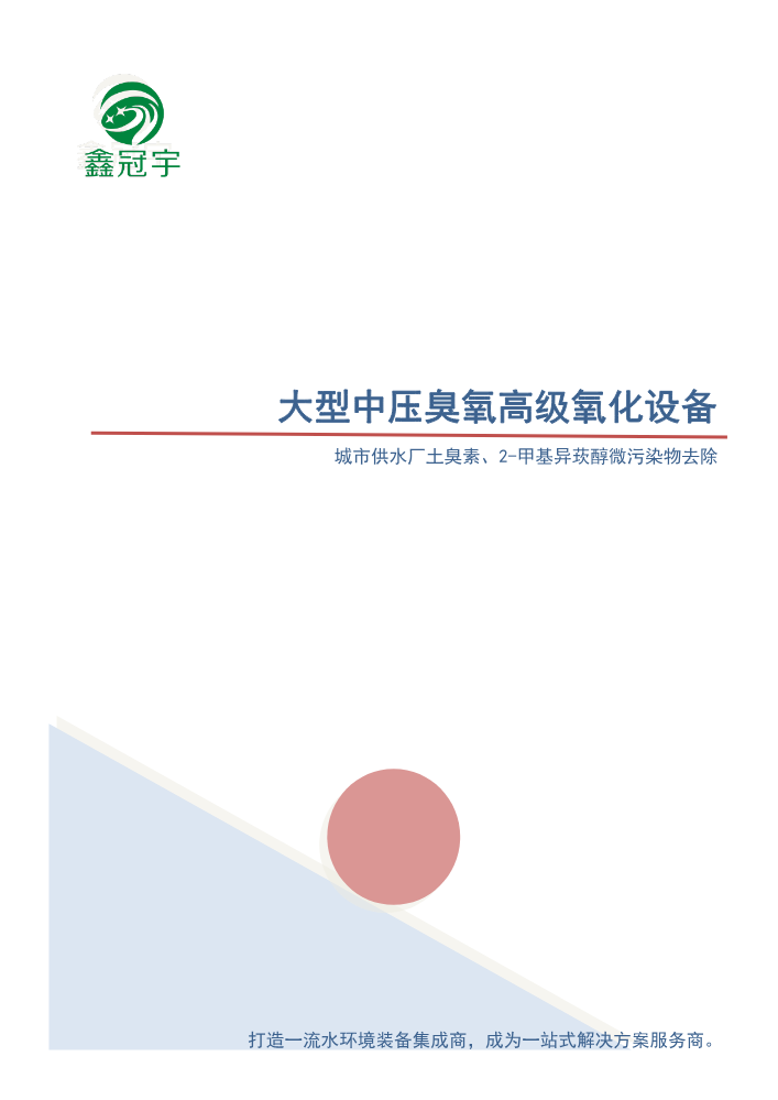 大型中压臭氧高级氧化设备