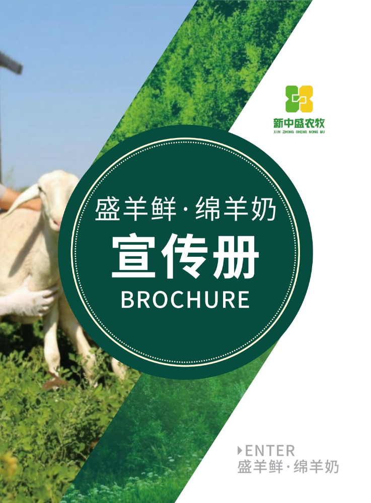 绵羊奶电子画册
