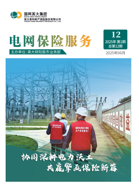 《电网保险服务》（第12期）