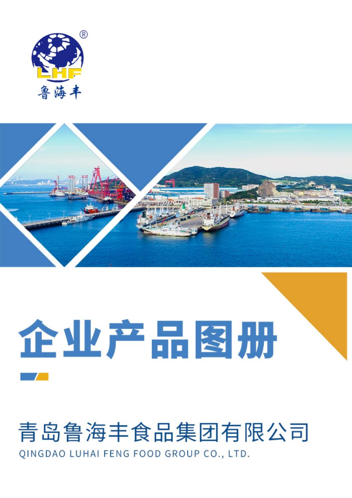 鲁海丰产品图册