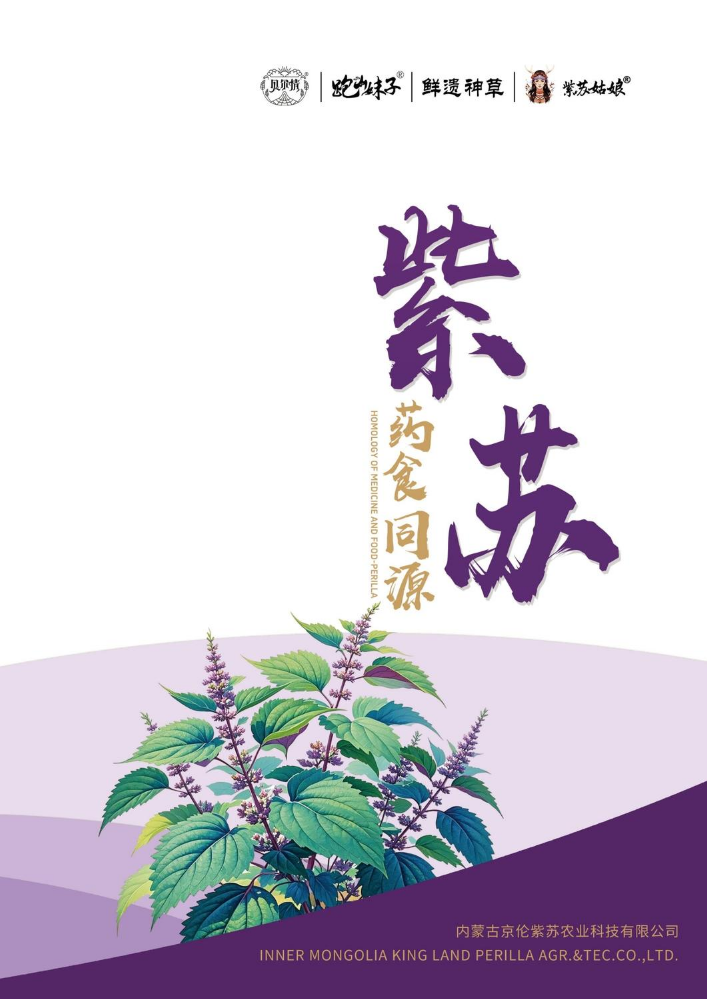 京伦紫苏电子书