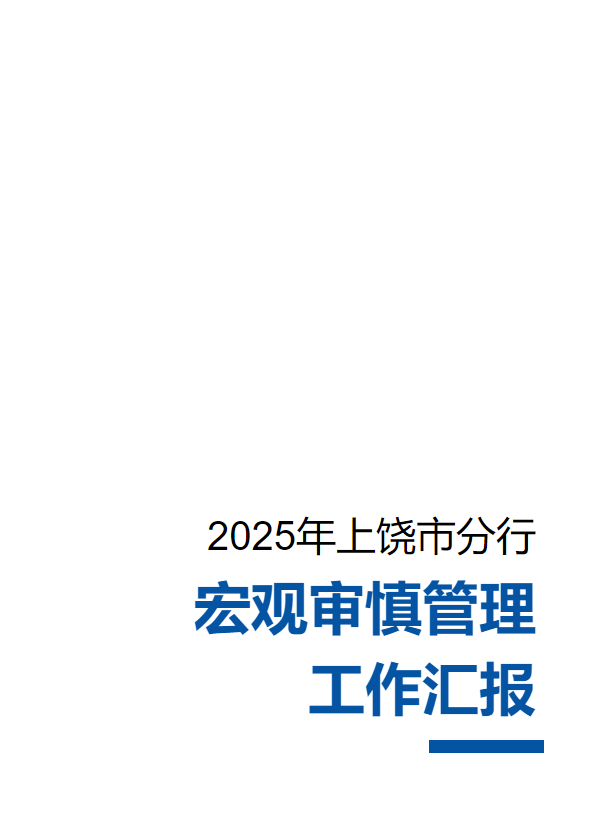 宏观审慎工作总结_副本