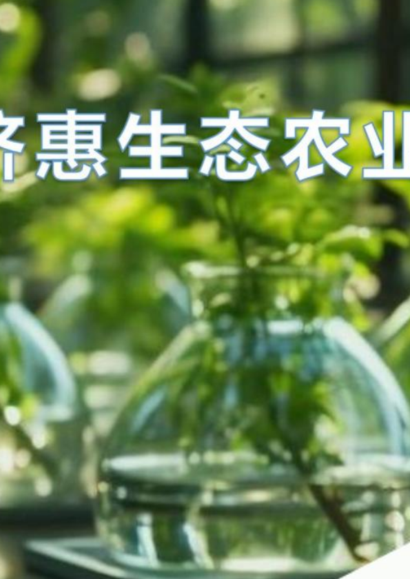 富硒植物营养液--2026