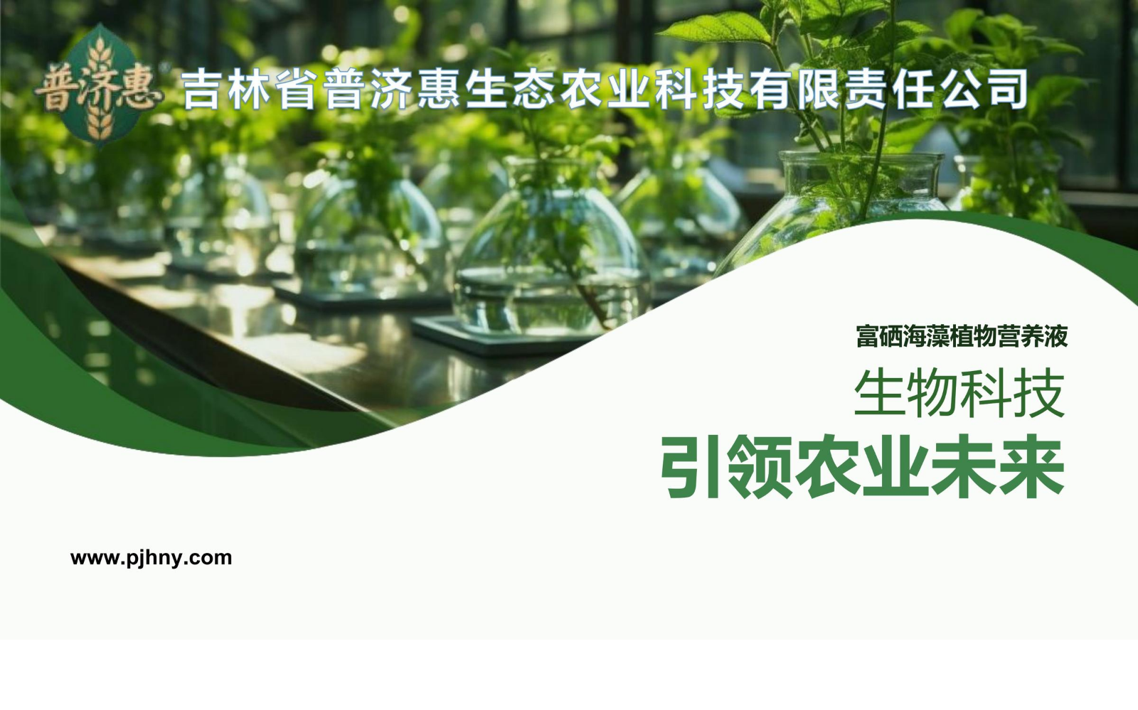 富硒植物营养液--2026