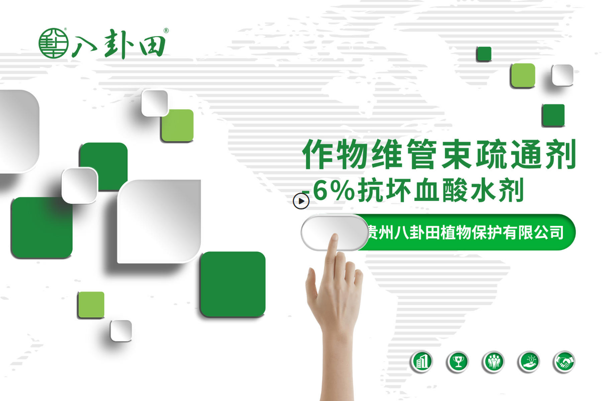 八卦田6%抗坏血酸手册