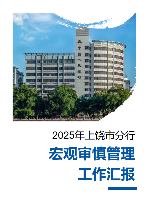 宏观审慎工作总结（小字版）_副本