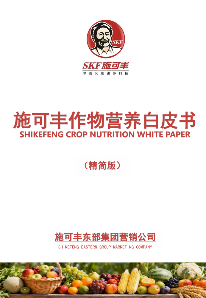 白皮书最终版 - 副本