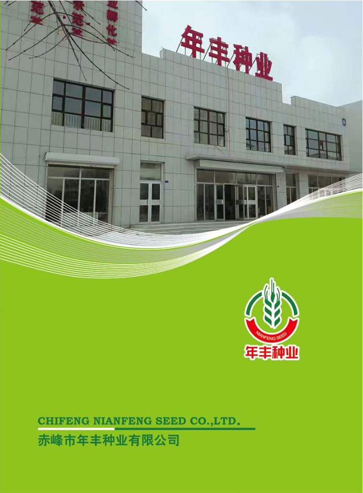年丰画册24年画册