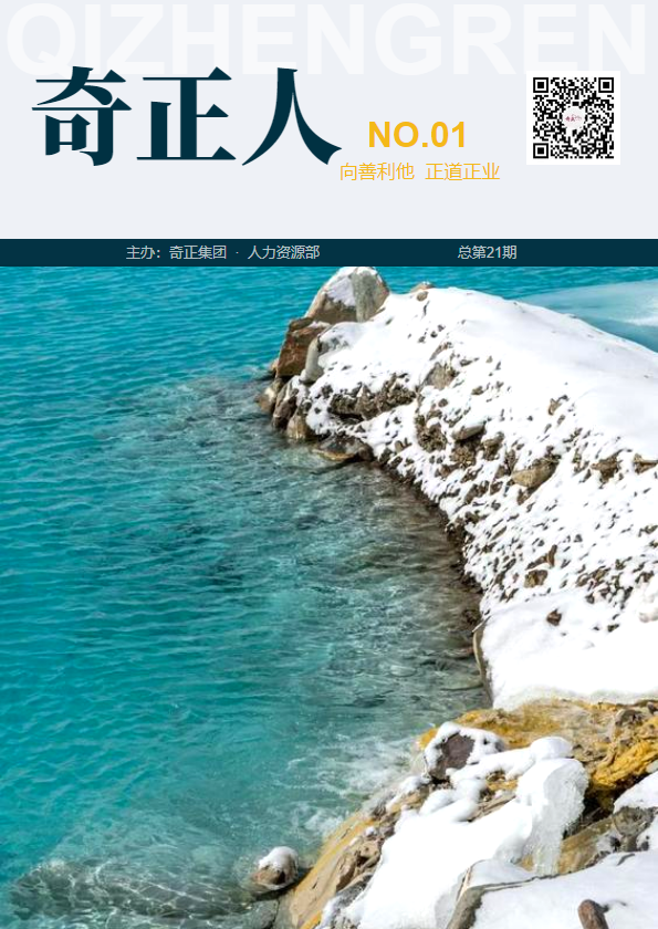 《奇正人》2025第一期