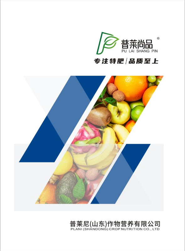 2026 普莱尚品  画册