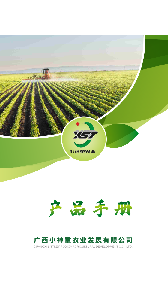 广西小神童2026年画册