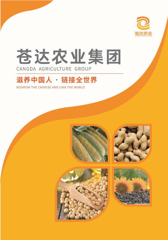 苍达集团宣传册