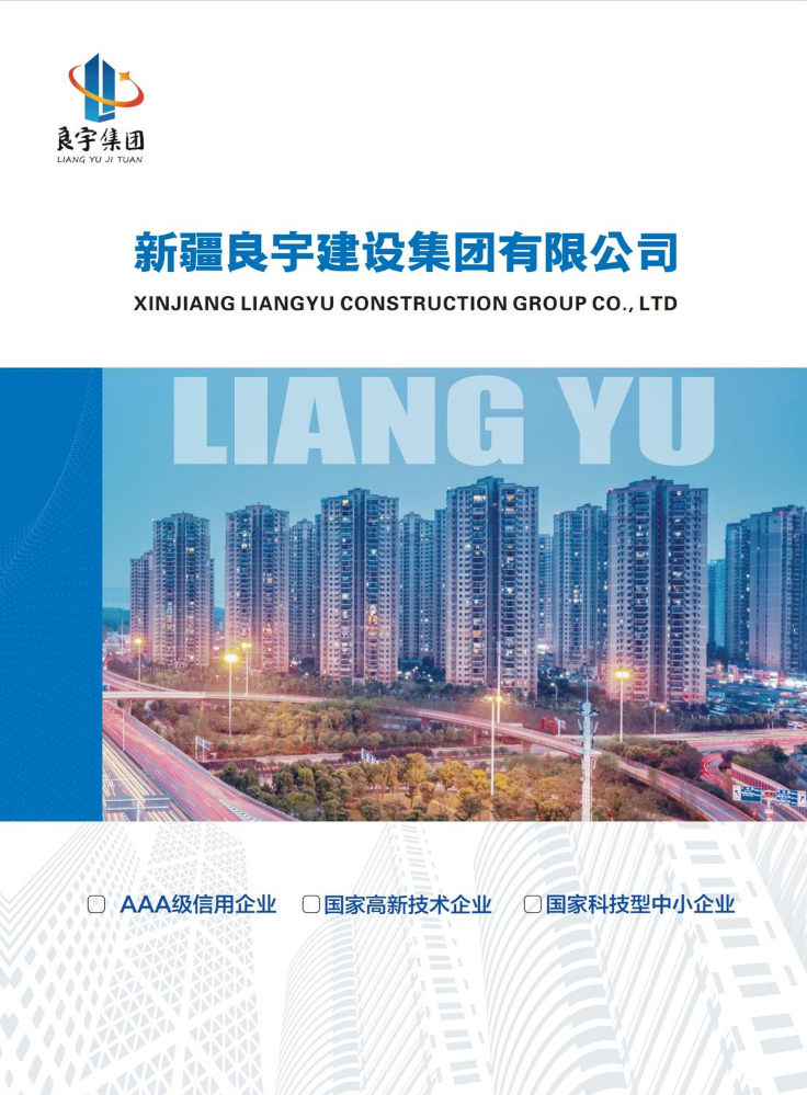 新疆良宇建设集团有限公司