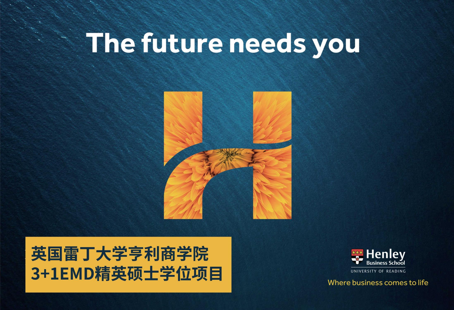 亨利商学院3+1EMD项目简章